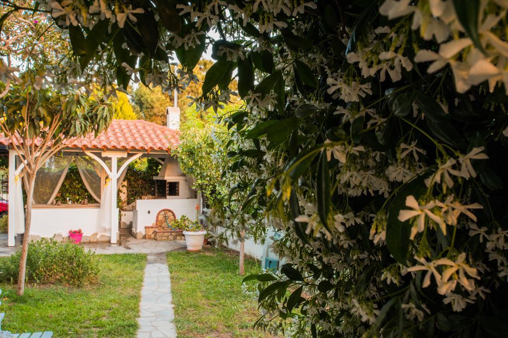 Bouganvillia Homes Nikiti  Exterior photo